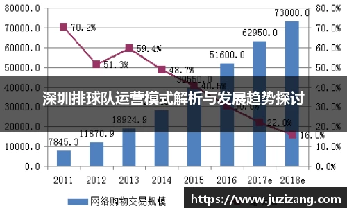 深圳排球队运营模式解析与发展趋势探讨